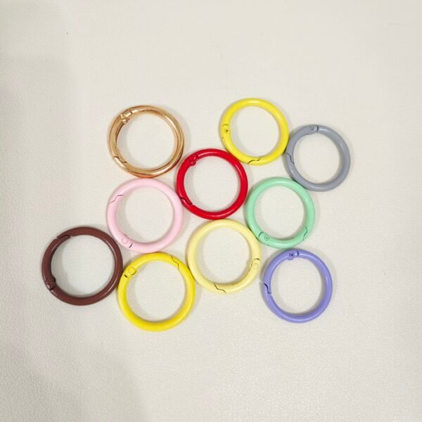 Metal O Ring Clip Keychain*5(Random Color)
